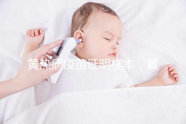 黃熱病疫苗證明樣本，黃皮書有效期10年附詳細辦理流程