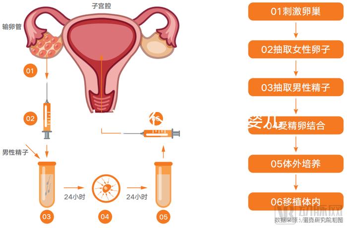 黃山市能不能做試管嬰兒？當(dāng)?shù)亟忝脗冞@樣說