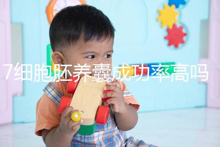 7細胞胚養囊成功率高嗎？聽聽做過試管的姐妹怎么說