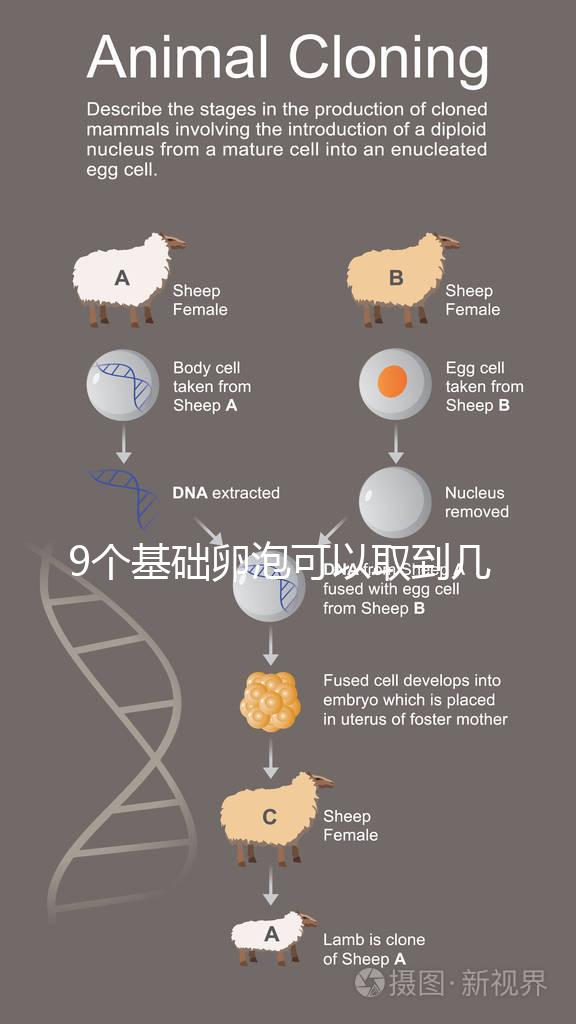 9個基礎卵泡可以取到幾個卵戳，促排后會不會增加很重要