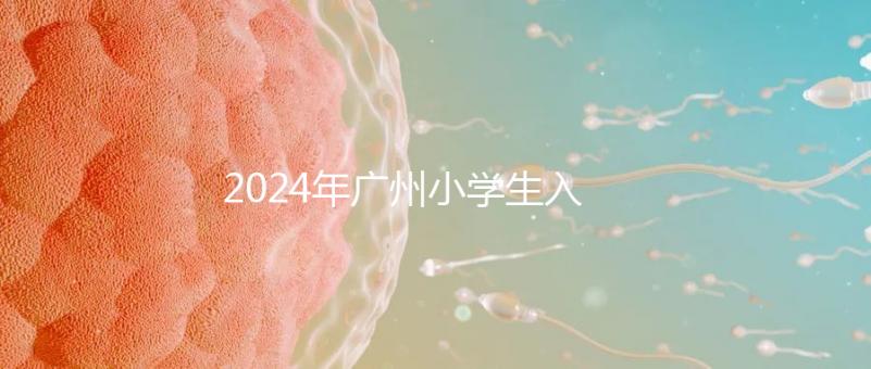 2024年廣州小學(xué)生入學(xué)年齡新規(guī)定，荔灣區(qū)6歲以上是基本條件