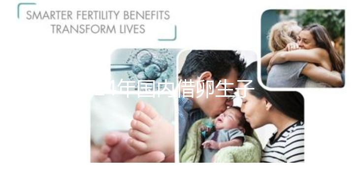 2024年國(guó)內(nèi)借卵生子私立醫(yī)院哪里最好？上海集愛(ài)排名前三