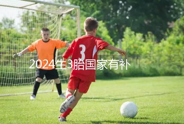 2024生3胎國家有補(bǔ)貼多少錢、在哪領(lǐng)全囊括，最高可達(dá)...