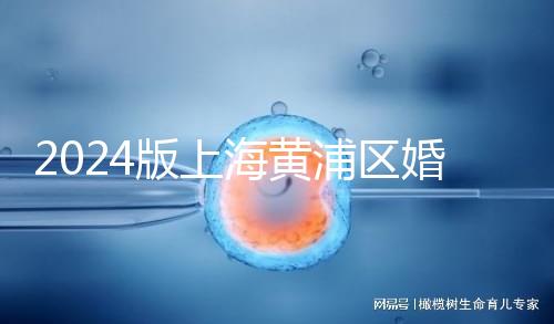 2024版上海黃浦區(qū)婚檢預(yù)約指南，包括詳細(xì)的流程和費(fèi)用