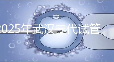 2025年武漢三代試管助孕比較新價(jià)格：8萬(wàn)至15萬(wàn)，費(fèi)用明細(xì)公開(kāi)！