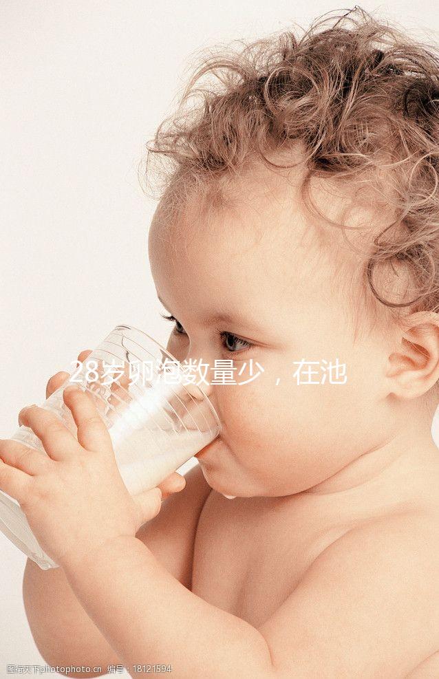 28歲卵泡數(shù)量少，在池州能不能做試管嬰兒？